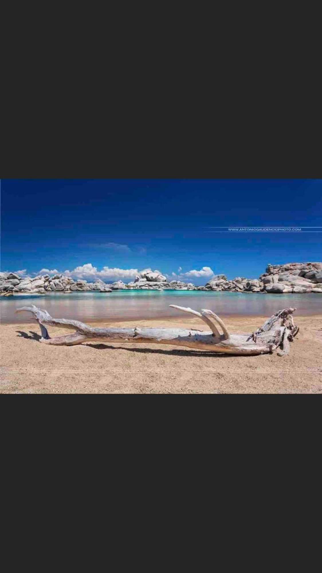 Sud-Corse Bavella Location Montagne Et Mer Sorbollano エクステリア 写真