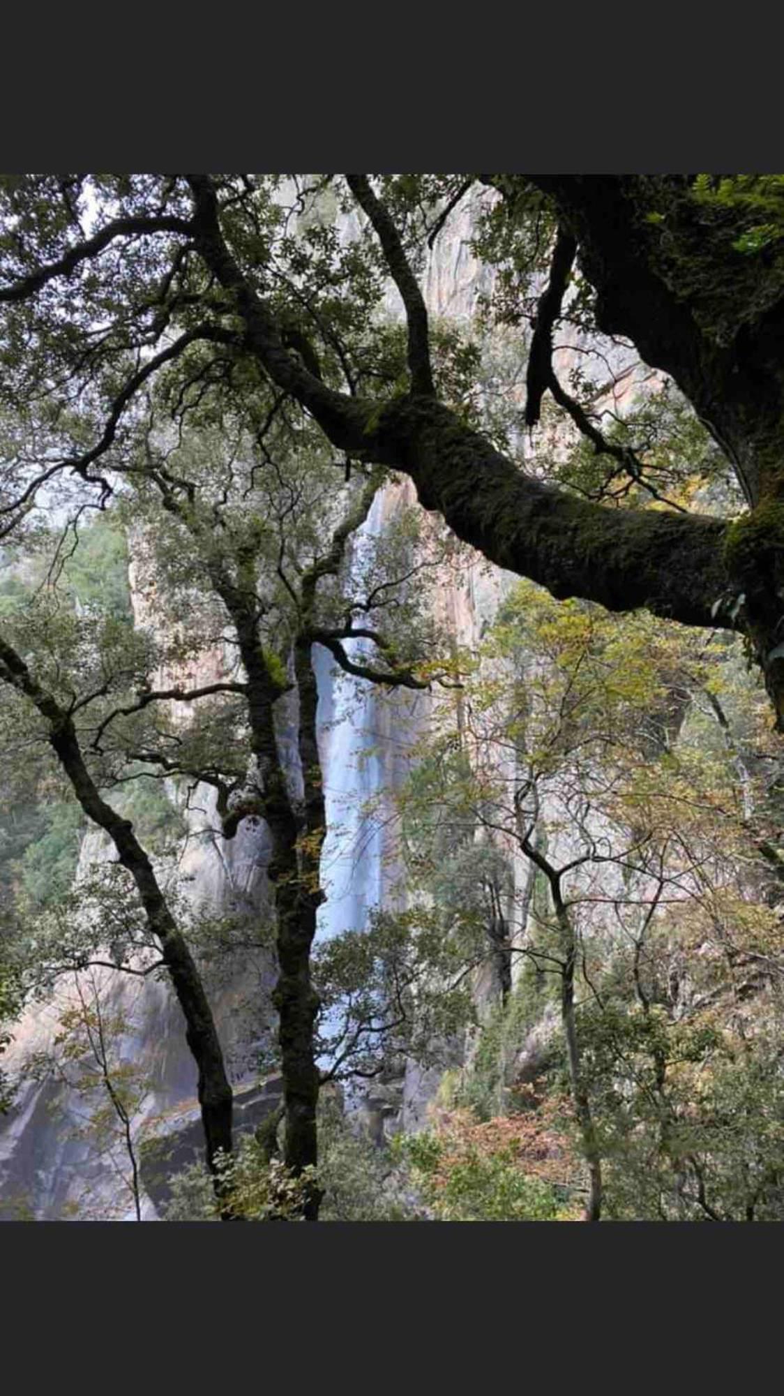 Sud-Corse Bavella Location Montagne Et Mer Sorbollano エクステリア 写真